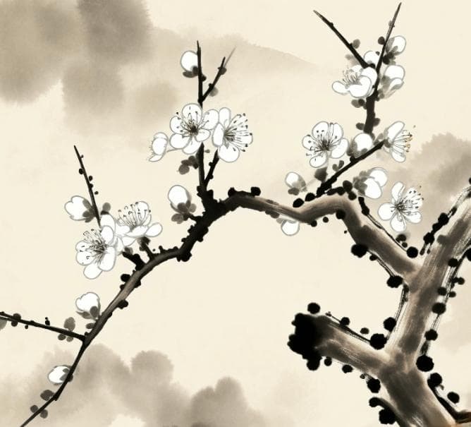 三九天是什么？三九有哪些传统活动？