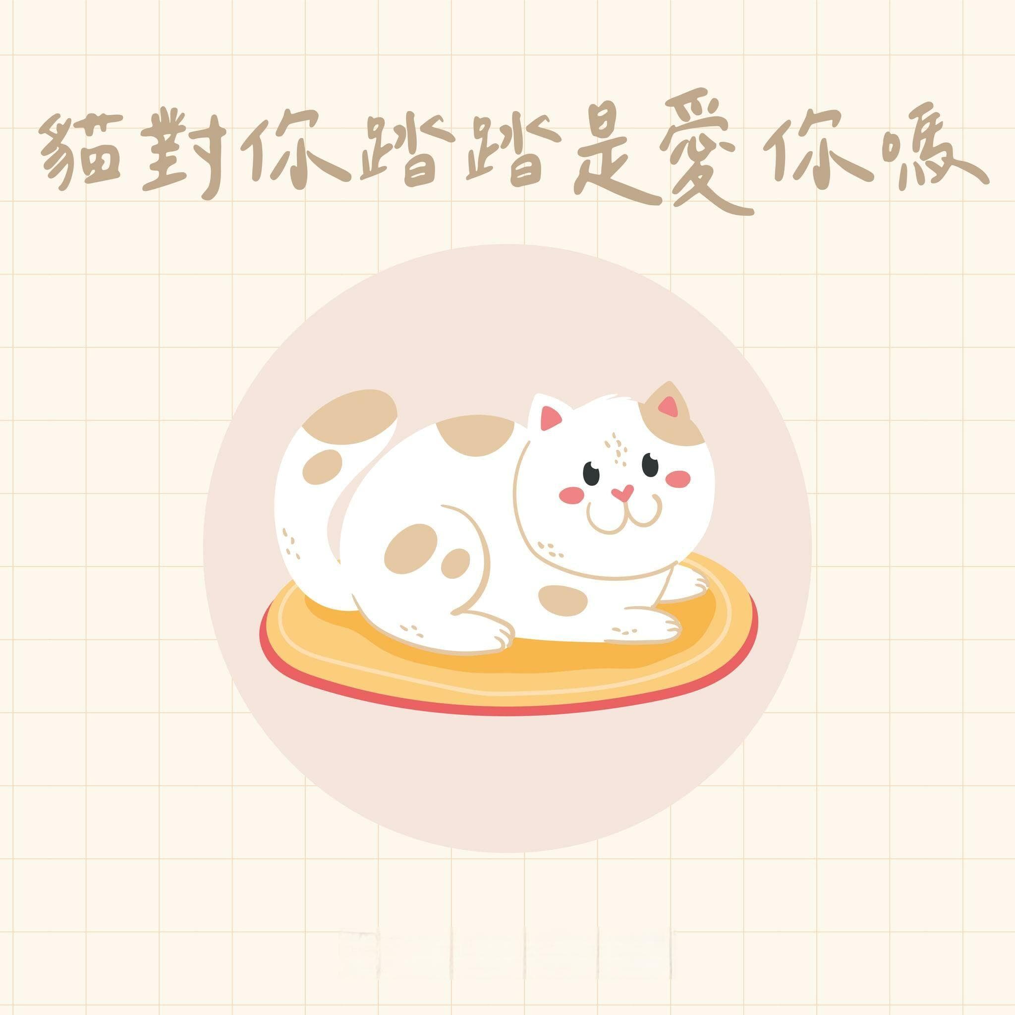 猫咪"踏踏"背后的真实含义：不只是简单的爱意表达