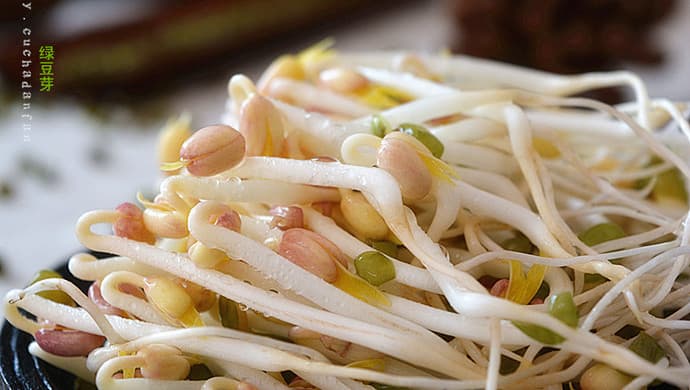 自制绿豆芽：简单几步就能在家发豆芽