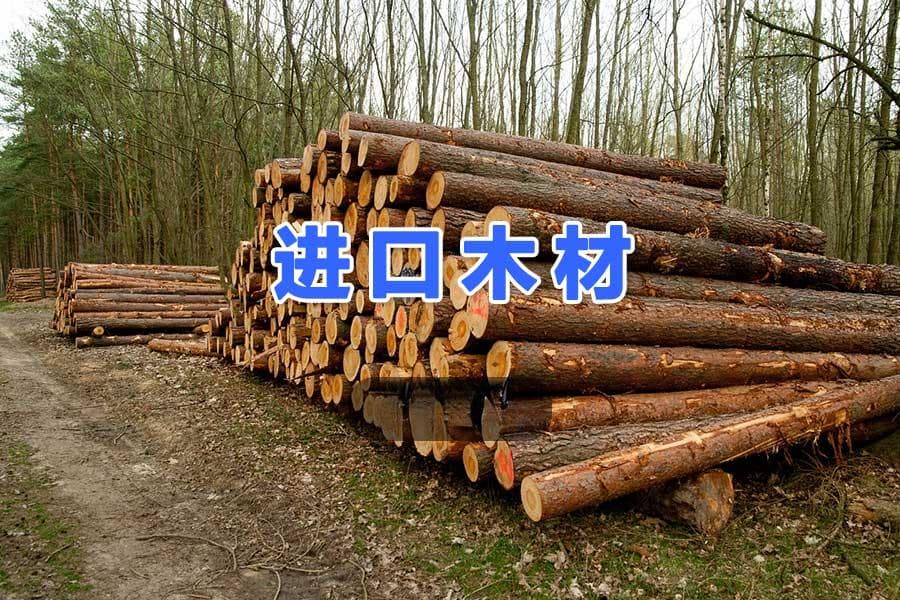 进口木材为何如此复杂？这些流程你必须知道！
