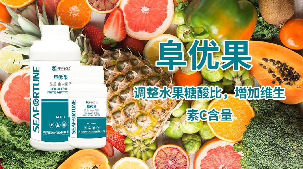 龙眼什么时候施肥最好？龙眼树最佳施肥时机全解析