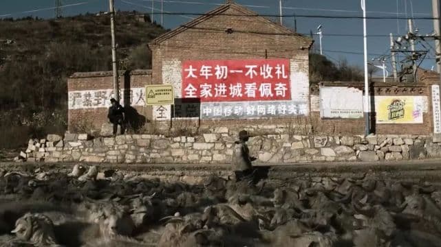 内容“接地气”，变现“讲生活”