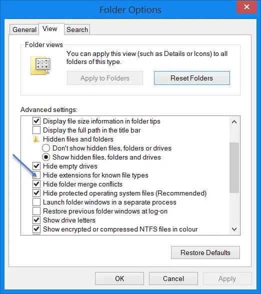 如何在 Windows 11/10 中显示文件扩展名