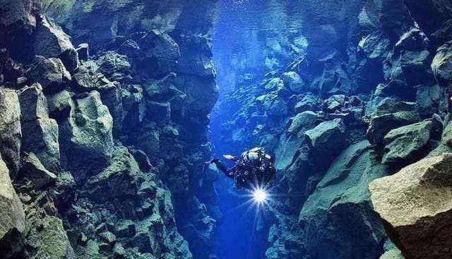 深海之谜：马里亚纳海沟的神秘生物世界