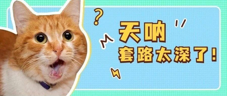 宣传“免费领养”实际要花费上万？没想到最近火起来的这些领猫馆，居然是这样的……