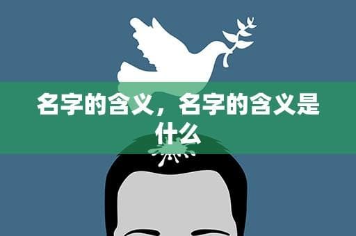 名字的含义：从起源到文化传承