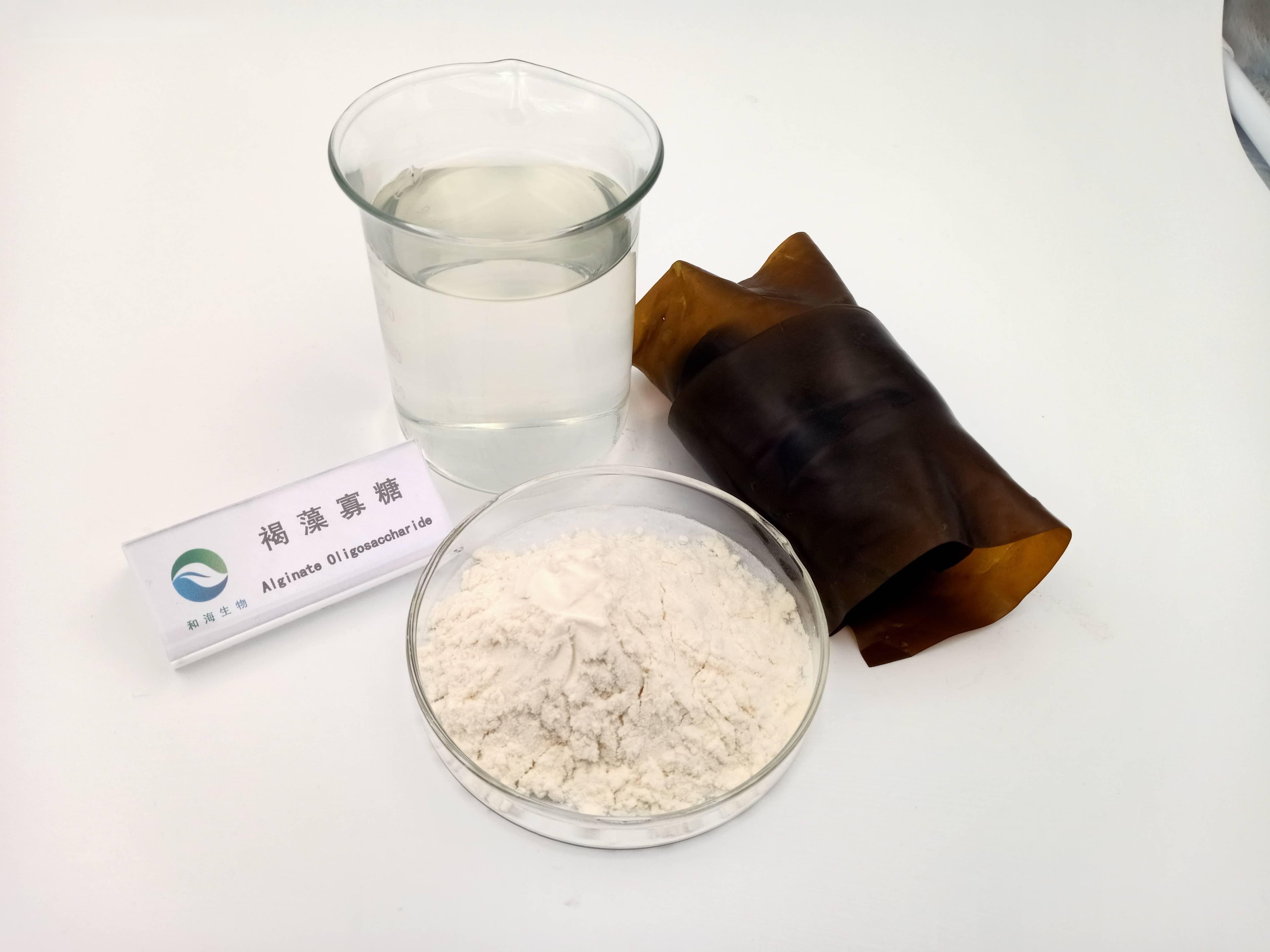 海藻在功能性化妆品中的应用