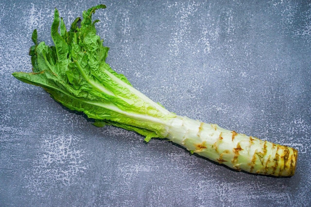莴苣家族图鉴：生菜、油麦菜、莴笋与贡菜的关系