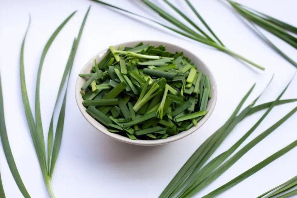 农历二月的韭菜，究竟好吃在哪？