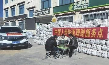 多家保险公司启动应急机制，为西藏地震灾区提供快速理赔服务