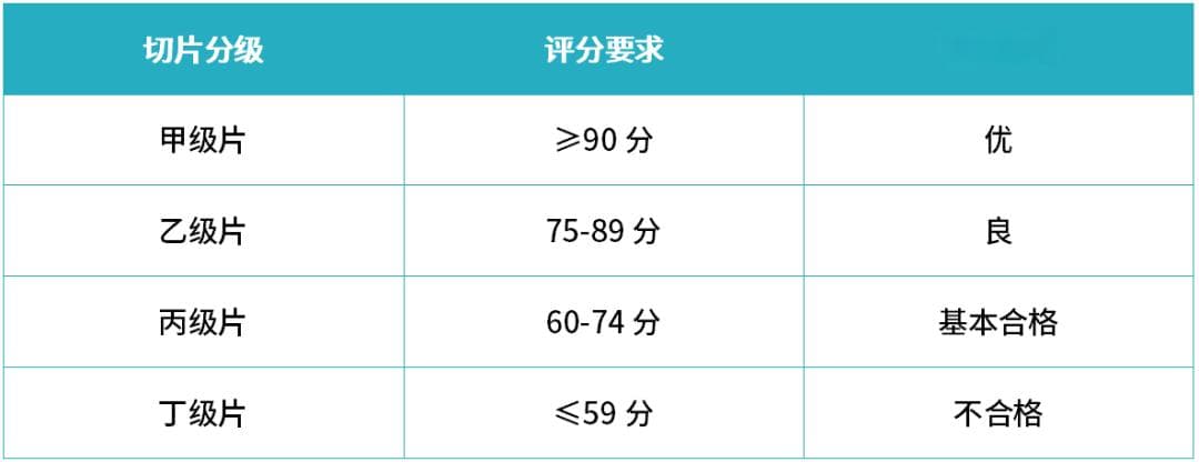 医院等级评审：病理科13个质量指标解读