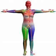 基于SMPL模型的人体三维测量方法及应用研究