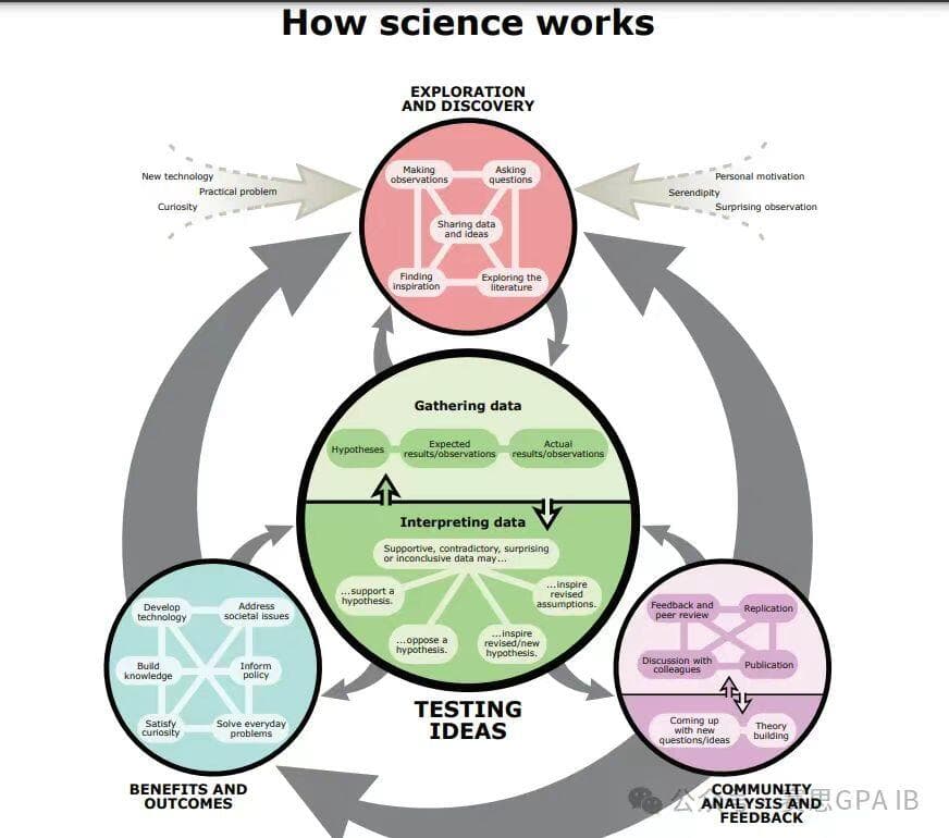 IB/AP/A-level 生物学科，一文带你剖析考试考什么！