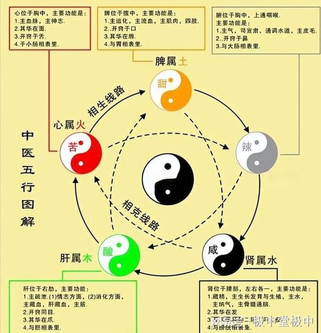 郭极中：解析“阴阳五行学说”的重要性