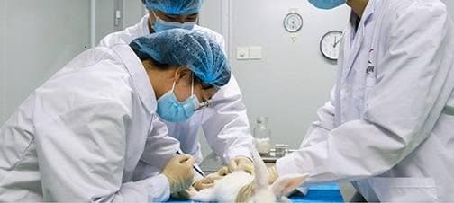 什么是医疗器械临床CRO，一文全解析？
