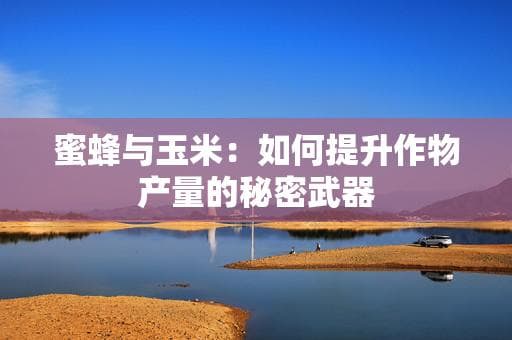 蜜蜂与玉米：如何提升作物产量的秘密武器