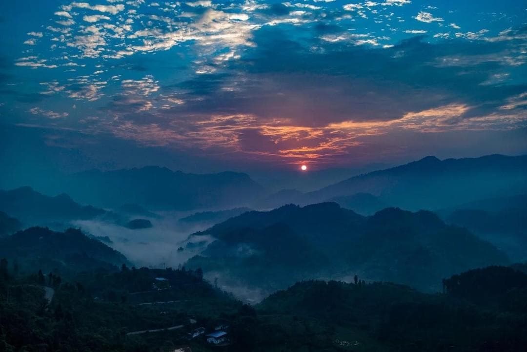 科学养宠：如何为狗狗选择合适狗窝