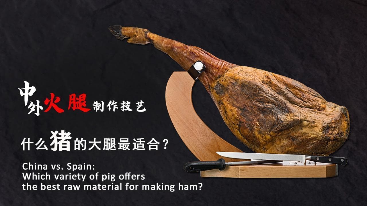 中外火腿制作技艺 ：什么猪的大腿最适合？