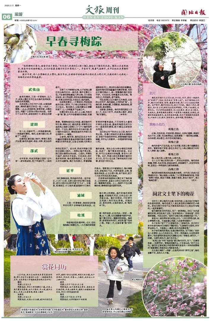 邂逅南平的早春小“梅”好