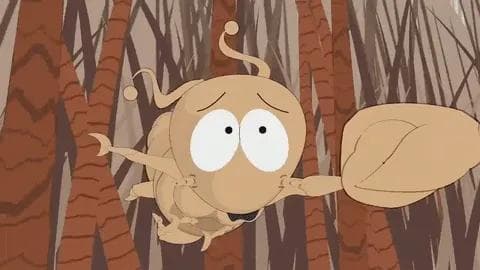 咖啡和茶提神的原理是什么？哪个更健康？