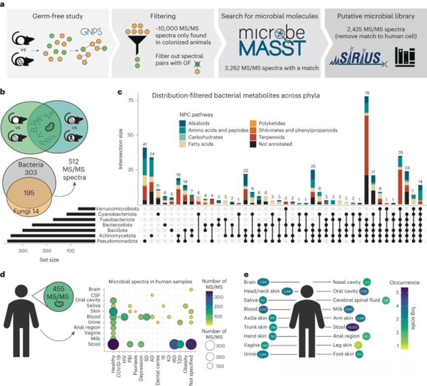 Nature子刊：microbeMASST——微生物代谢组学数据的质谱搜索新工具