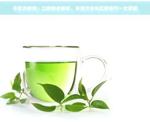 千年古树茶：口感特点解析、冲泡方法与品鉴技巧一文详解