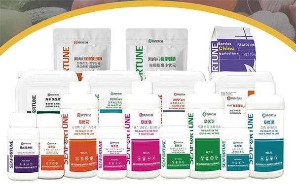 柑橘什么时候施肥最佳 柑橘施肥最佳时机全解析