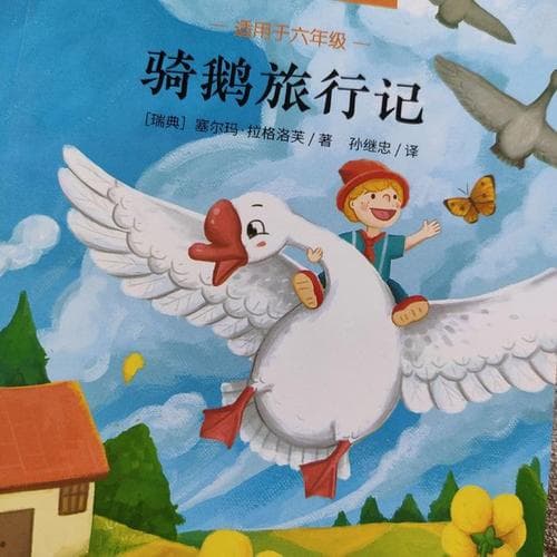 《尼尔斯骑鹅旅行记》深度体验与价值解析