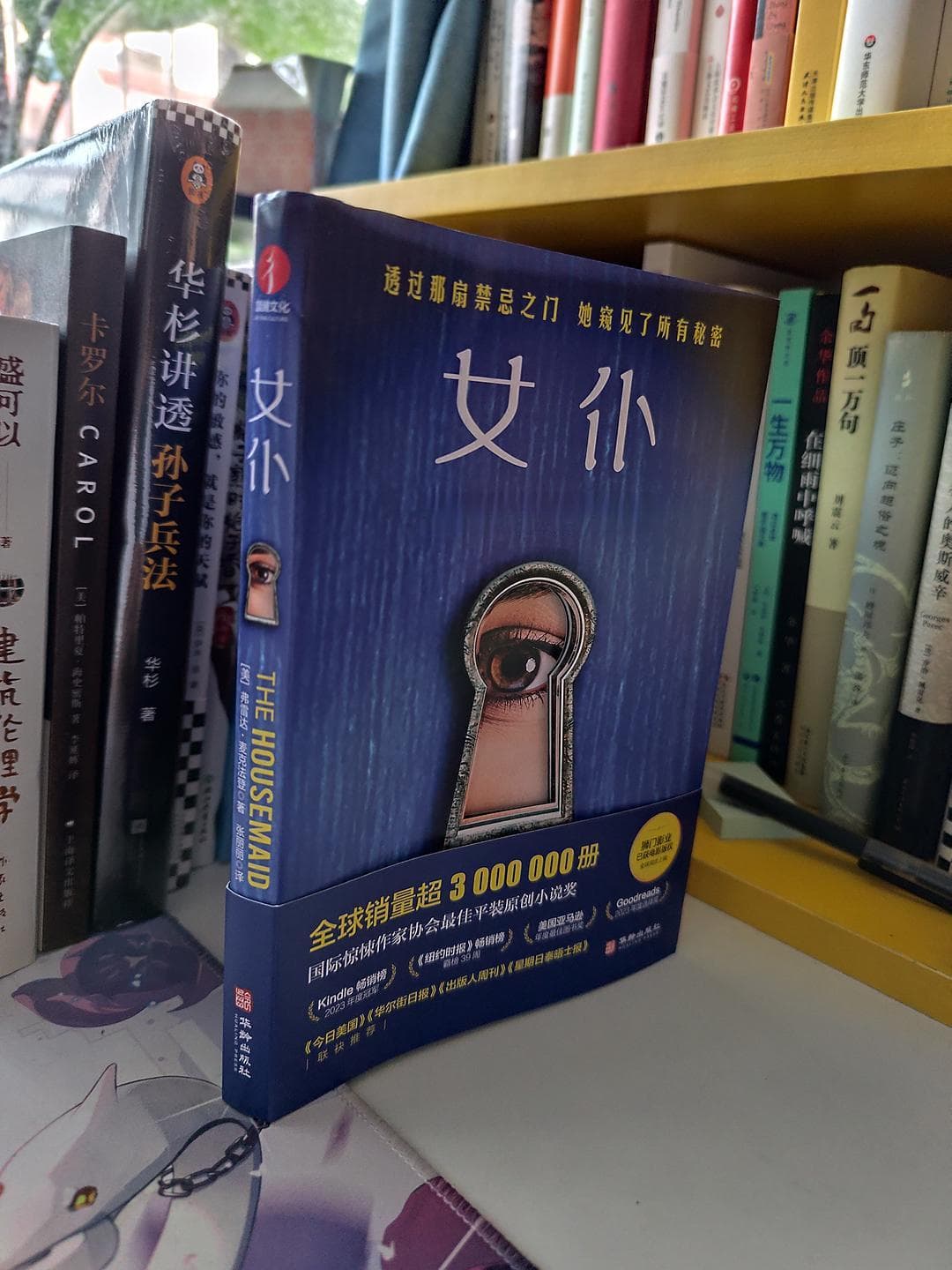 《女仆》：揭开华丽袍下的暗流涌动