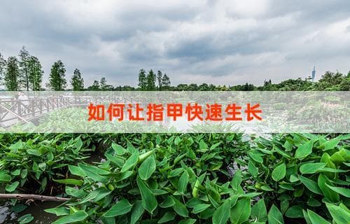 如何让指甲快速生长 秘诀与日常实践