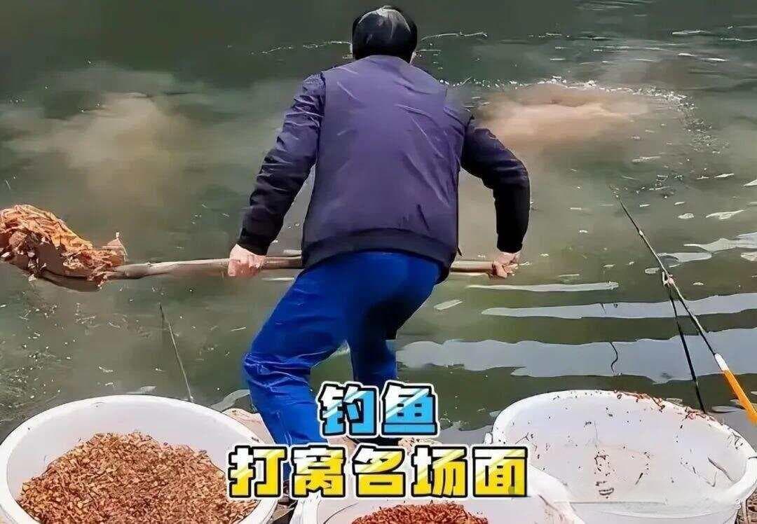 深度反思：钓鱼，不是“内耗”，而是“和解”