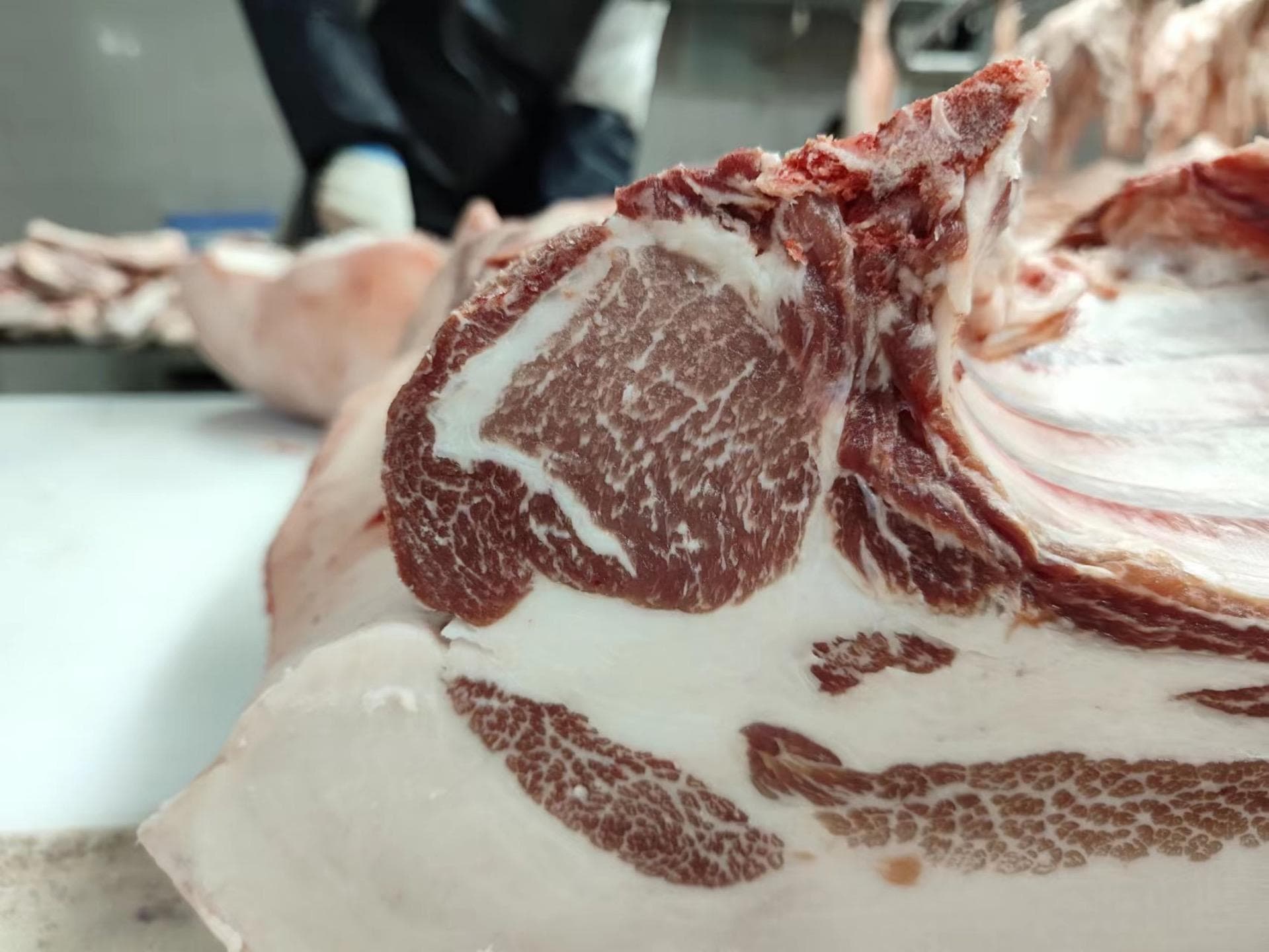 瘦肉越来越受偏爱，如何有效提升地方猪瘦肉率？