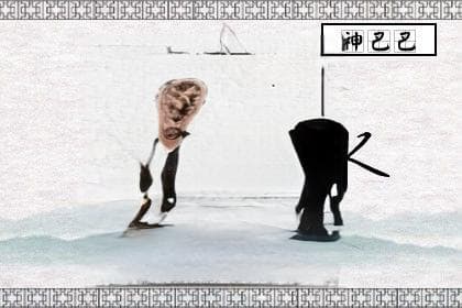 八字中的水元素解析