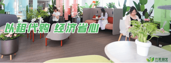 2025年城市绿化新趋势：绿植租赁助力生态建设与可持续发展