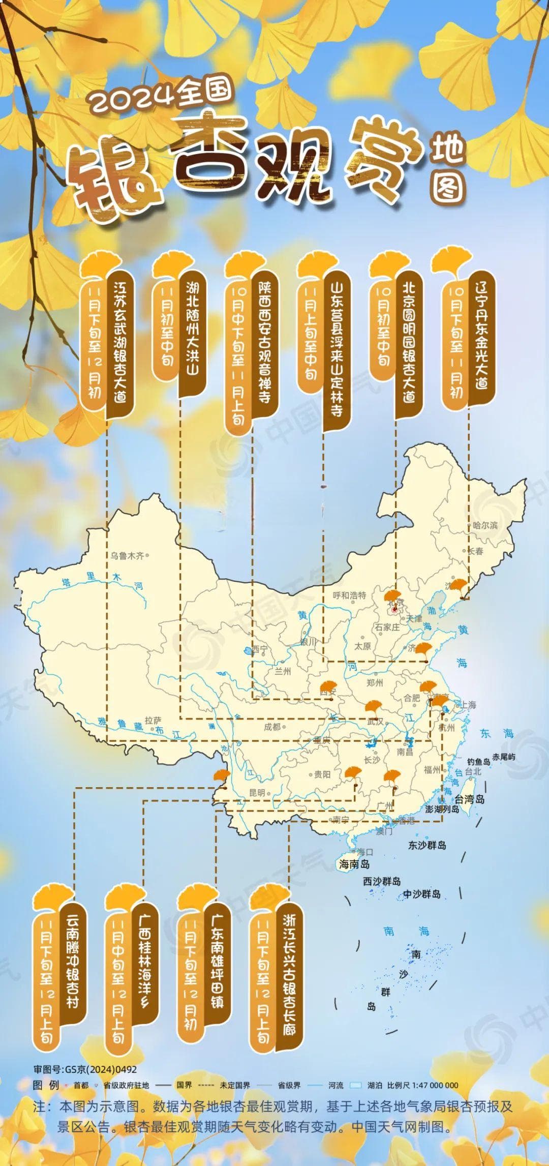 邂逅小“杏”运！全国银杏观赏地图出炉 这份观赏时间表请收好