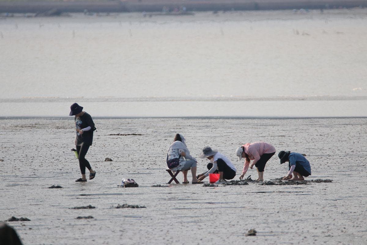 北海赶海时间和最佳赶海时间