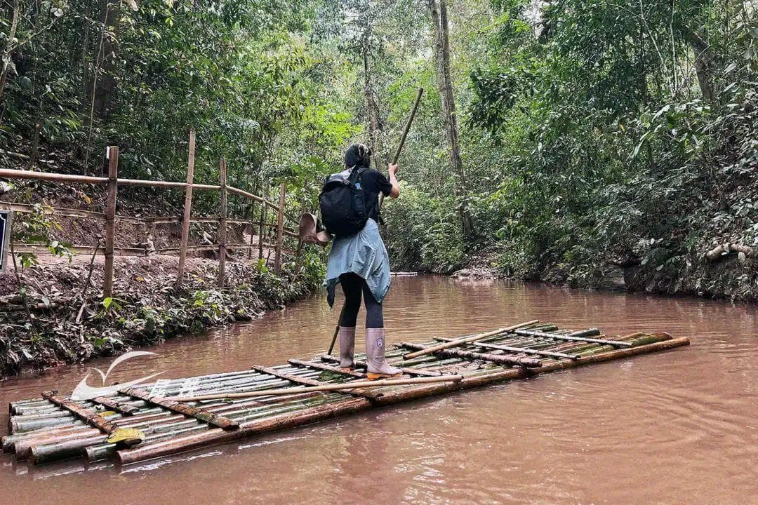 乘动车去西双版纳，开启基诺山雨林徒步之旅