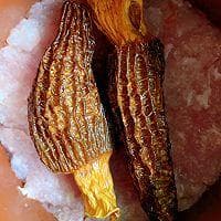 羊肚菌炖瘦肉汤：一道滋补养生的秋季美食
