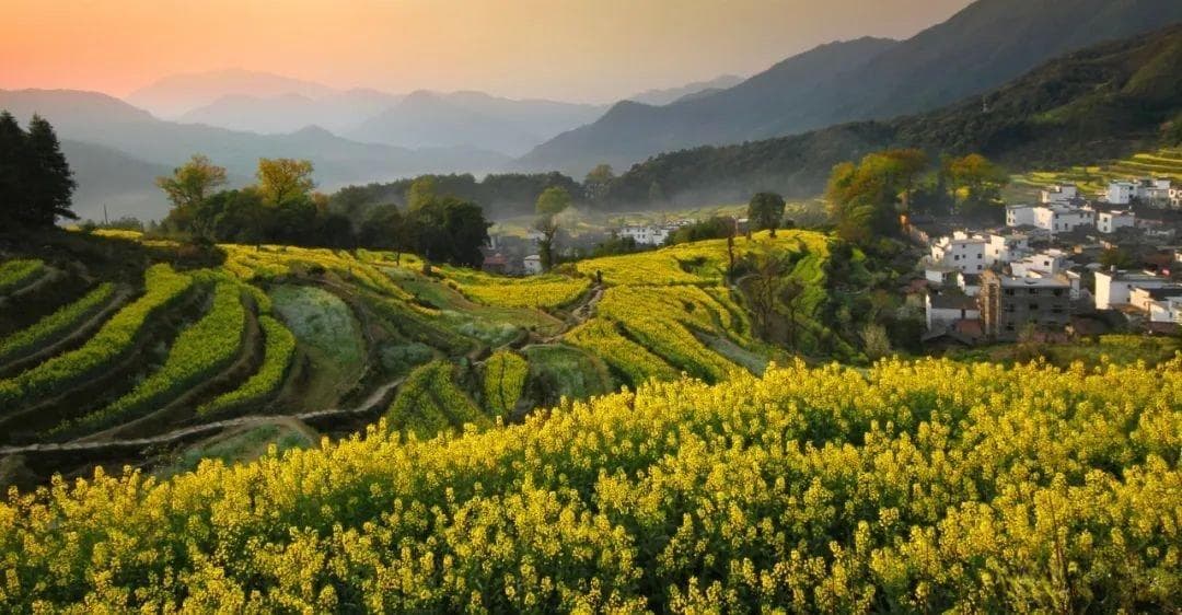 婺源深度旅游攻略：山水画廊里的徽派诗意栖居