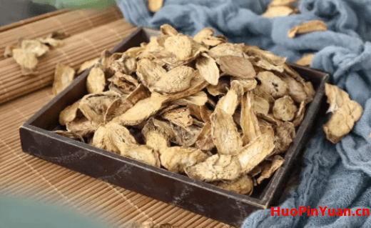 牛蒡根的功效与作用,野生牛蒡根有什么用处