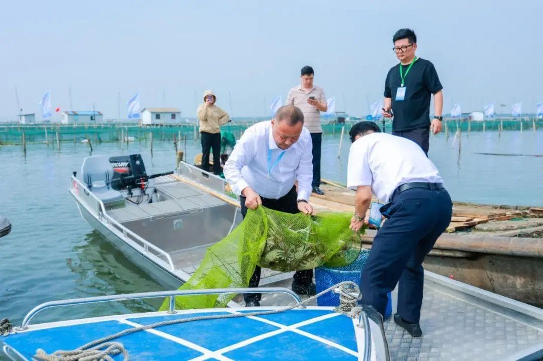 今天，苏州阳澄湖大闸蟹开捕！大量成熟在10月中上旬