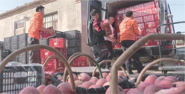 加大推进“电商西进”力度 助力东西部商贸流通高效协同