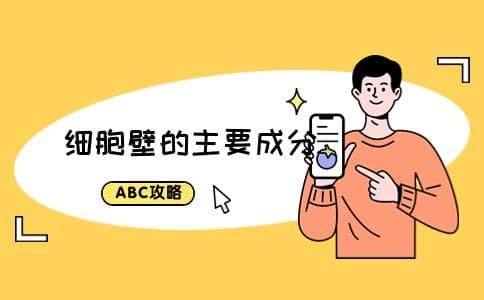 细胞壁的主要成分