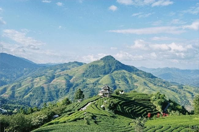 探索侗族文化与旅游融合新路径：中国海洋大学观察队三江深度调研