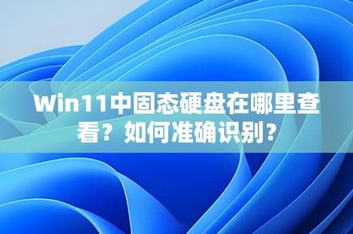 Win11中固态硬盘在哪里查看？如何准确识别？