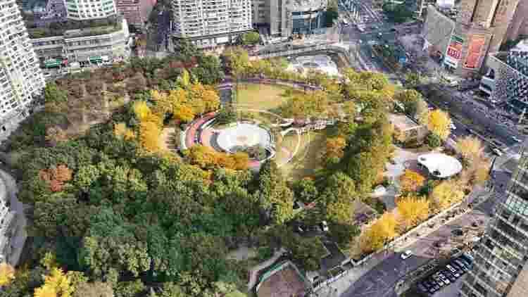 拆墙透绿、24小时开放！历经10个月闭园改造，长寿公园下月焕新回归