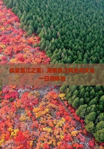 探索昌江之美：海南昌江风光与文化一日游体验