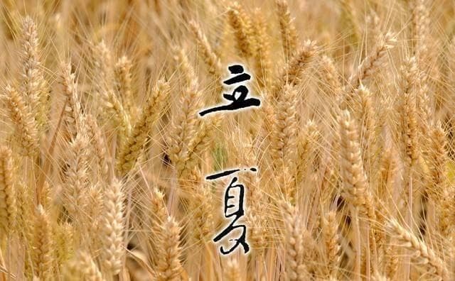立夏时节：下雨还是天晴更利于农业生产？