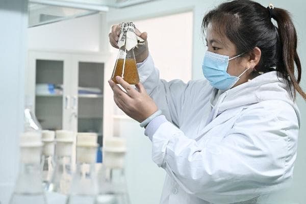 一线追“新”记丨食用菌“微型农场”迎新变