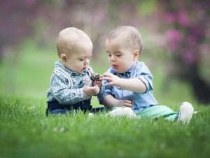 海鲜菇的营养价值，孕妇早期可以吃海鲜菇吗？